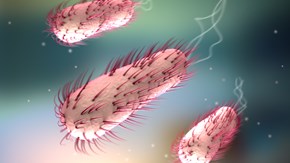 Illustration av bakterier