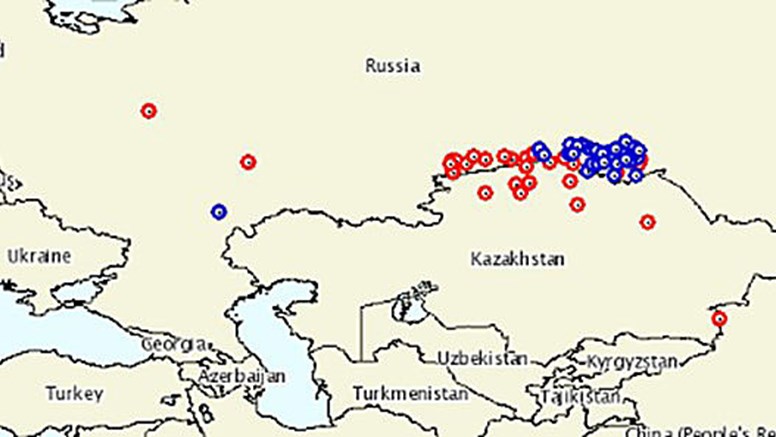 Karta som visar fall av högpatogen fågelinfluensa hos fjäderfä i Ryssland och Kazakstan.