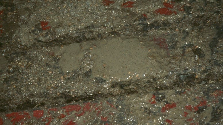 Cementliknande diarré på ett golv