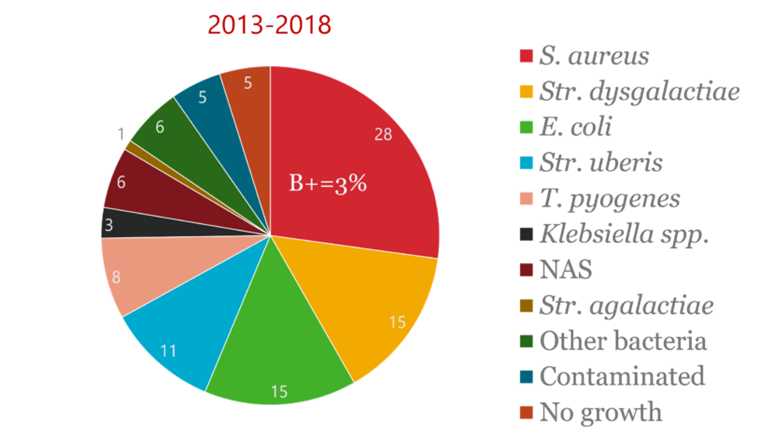 Bakteriefynd vid klinisk mastit hos kor 2013-2018